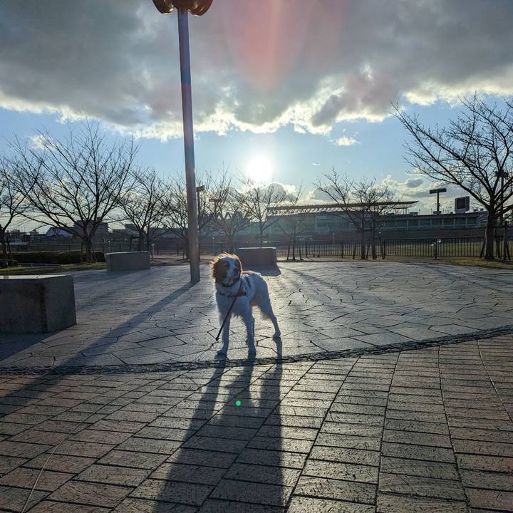 F4489023 3b20 4da9 bbca f5bd6f1c6aee 1677756011620