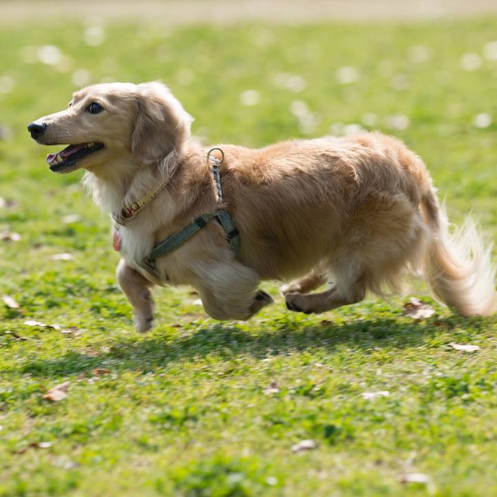 F448c329 d118 4258 83b1 87c8c6d36d54 1522111889111