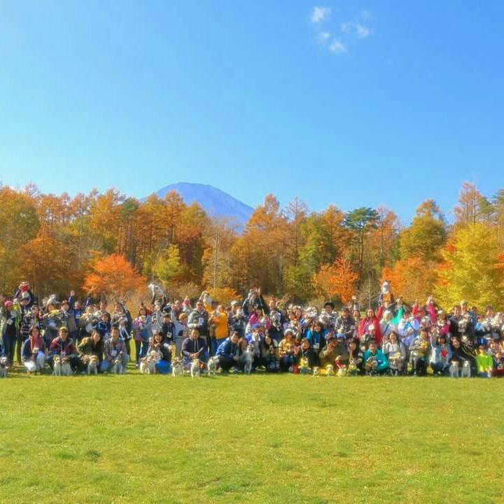 F448d68b e161 446d 87c9 6b53d5d44e18 1510122623185