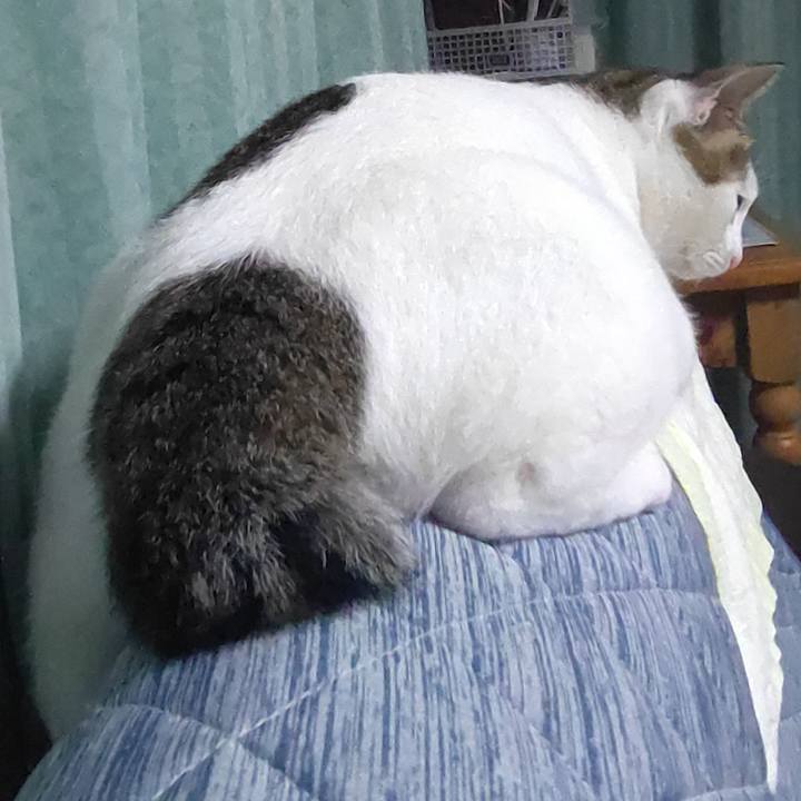 F448d963 e64a 4d40 88ad d9c32ad193a1 1695035412138