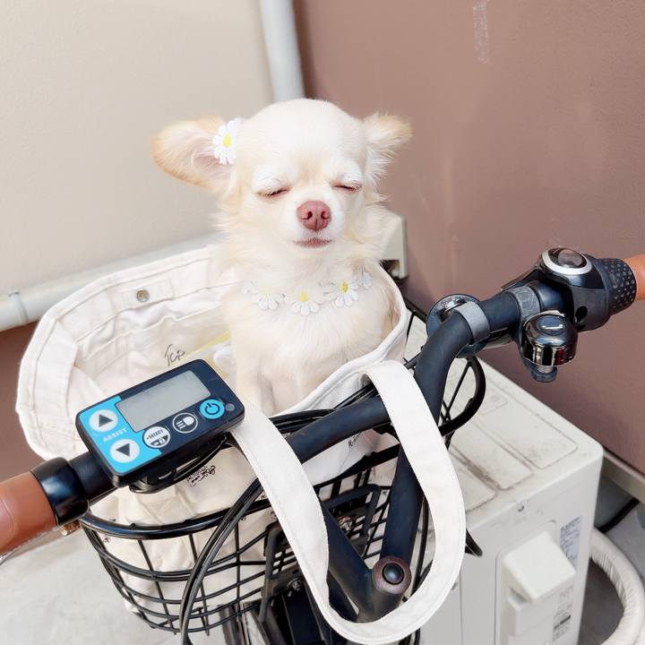 F448e7d7 75ad 46fb a5ca 741b09c6705e 1691040984216