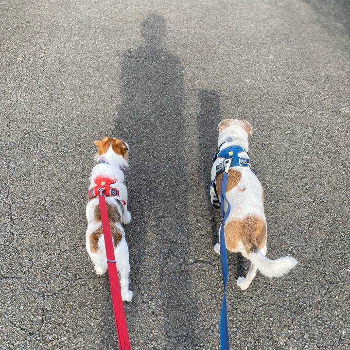 F448f0b9 0d51 4b4a a7c1 a7385e183608 1660603648503