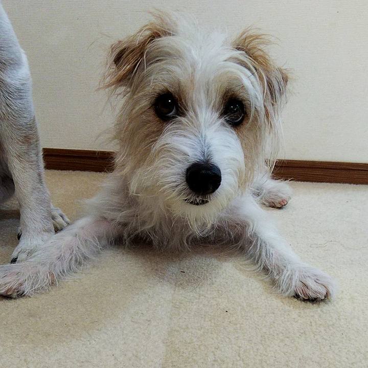 F44920f4 2f71 497d bbd0 0266887472f1 1565403749919