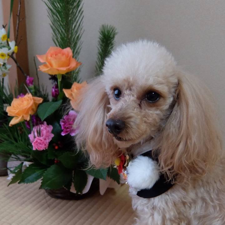 F449255d d32e 4206 9ba9 d0aade713f6d 1514785862976