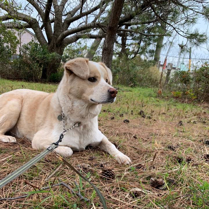 F449575a 9fb3 4323 ab57 044c4b298948 1551279861030