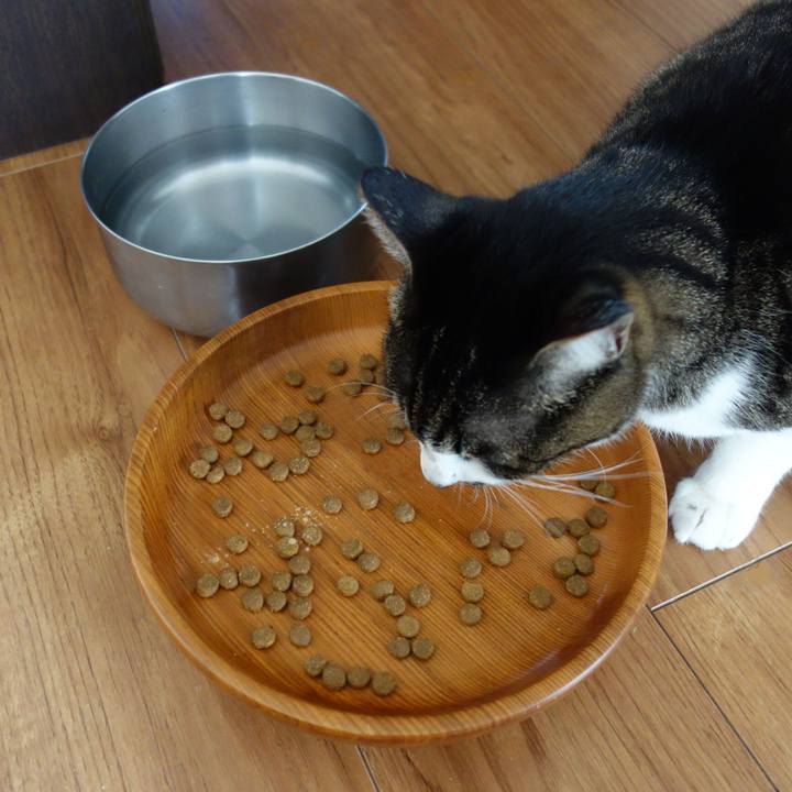 F4497306 b6c1 4063 8ee0 7e9a4850688e 1767752139485