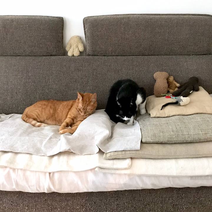 F4498623 5d89 4808 82c1 acb62e734bc1 1559709113969