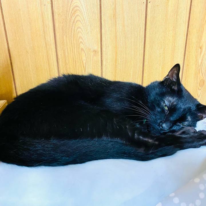 F449894c 2695 4071 a256 2689e5218b36 1693567730015