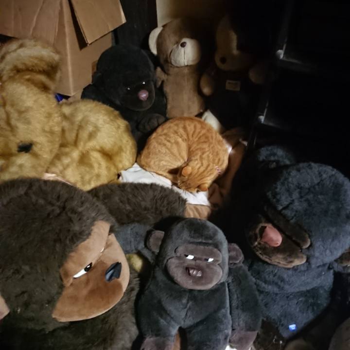 F449ab24 1198 4bae be6f 911af81b947e 1605882180882