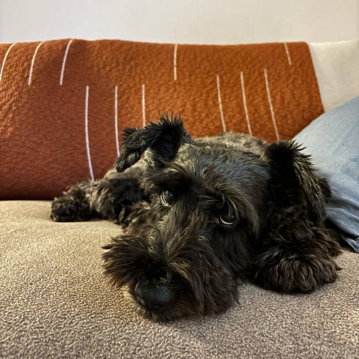 F449b533 481e 461a be8d 7241ac940369 1761086605234