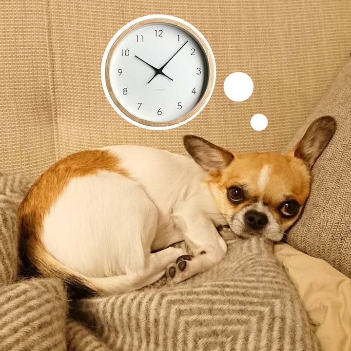 F449d21c 44d2 40b5 ae29 b20bd88bfad7 1604753691251