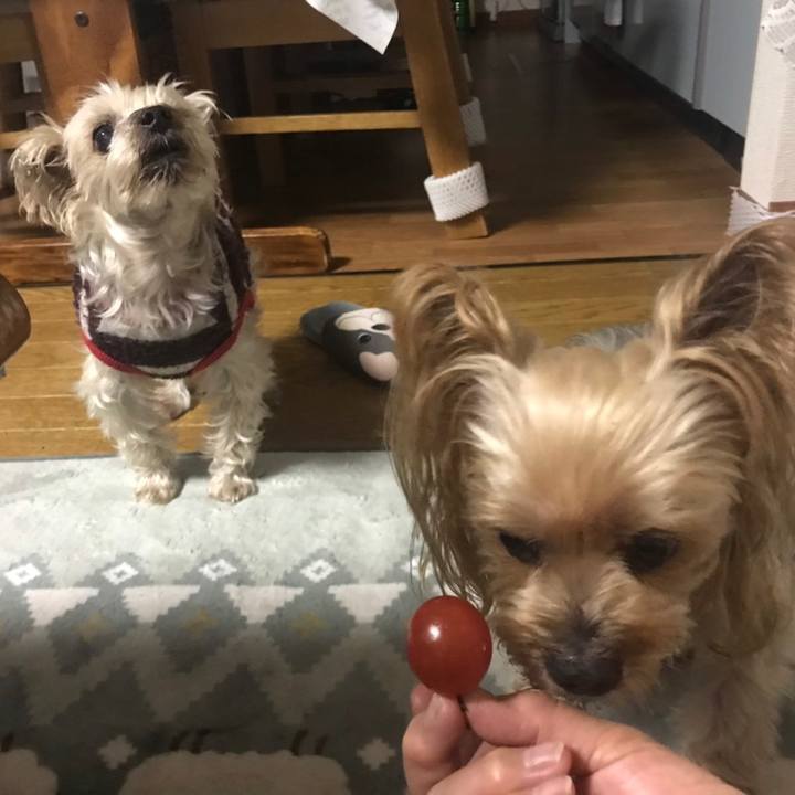 F449da31 679b 4191 b187 496681722b7e 1578225676620