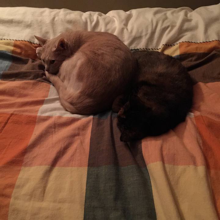 F449ece6 bd96 4ea4 a199 0b8aeceaf7c1 1616239192033