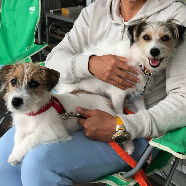 F44a1fd4 3863 422e a404 e43cc2999192 1760361282404