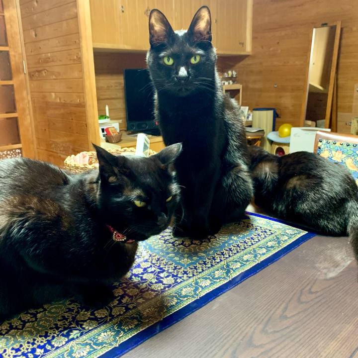 F44a5d82 0609 4161 a73f 9bdd1c619cc9 1645964911937