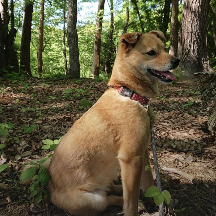 F44a62f1 6b24 4bc1 9b30 7a30e15c3e6f 1652449448255