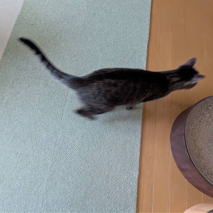 F44a81a7 616e 44e1 8b22 775965bbe5e6 1750143891016