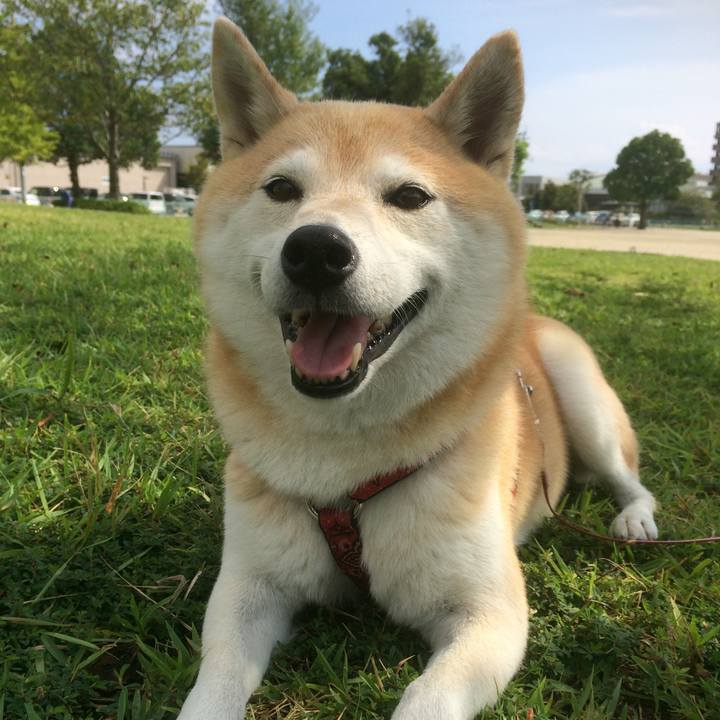 F44a8692 72d2 4829 bfe3 8a79cd9953bb 1763964025739