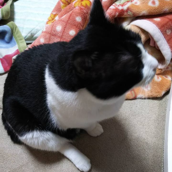 F44a89e7 0c71 4e1d 9375 2d29ba391b18 1538516834300