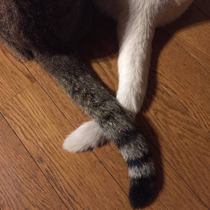 F44ab38b fb5b 47ed b4d2 f2c7049d9a12 1535224304998