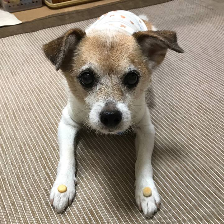 F44ab563 f5c1 4693 b6de 3c150ea73b45 1659941404017