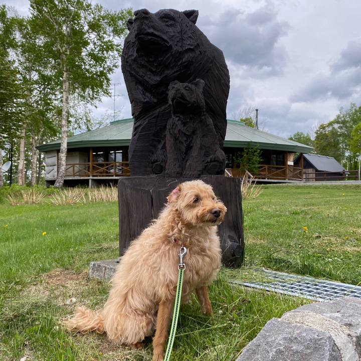 F44acb10 b61e 4869 aef9 b6b7e8264469 1653905645520