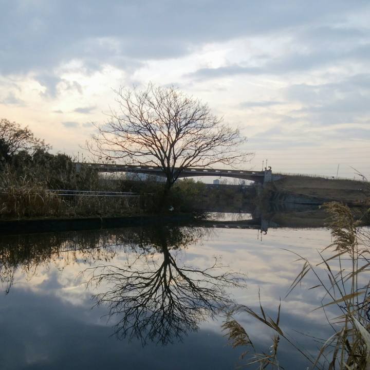 F44afb4a aaa1 4893 8127 1b39ce23761e 1547552154656