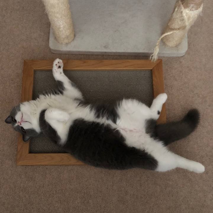 F44b0e44 9e13 4cd3 aa14 76e9fa30648c 1541723139117