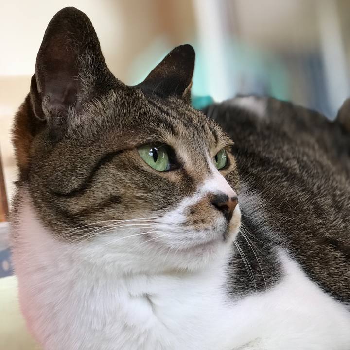 F44b1921 1b8c 4171 9f79 20e56e5440f2 1525051545845