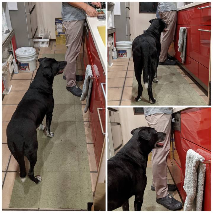 F44b6264 a682 4073 884c 4c510efe3b1b 1694428937802