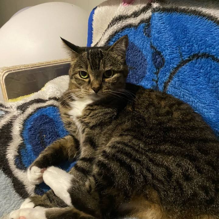 F44b78d5 97f0 462b be33 e7562a6ab5e0 1699358311004