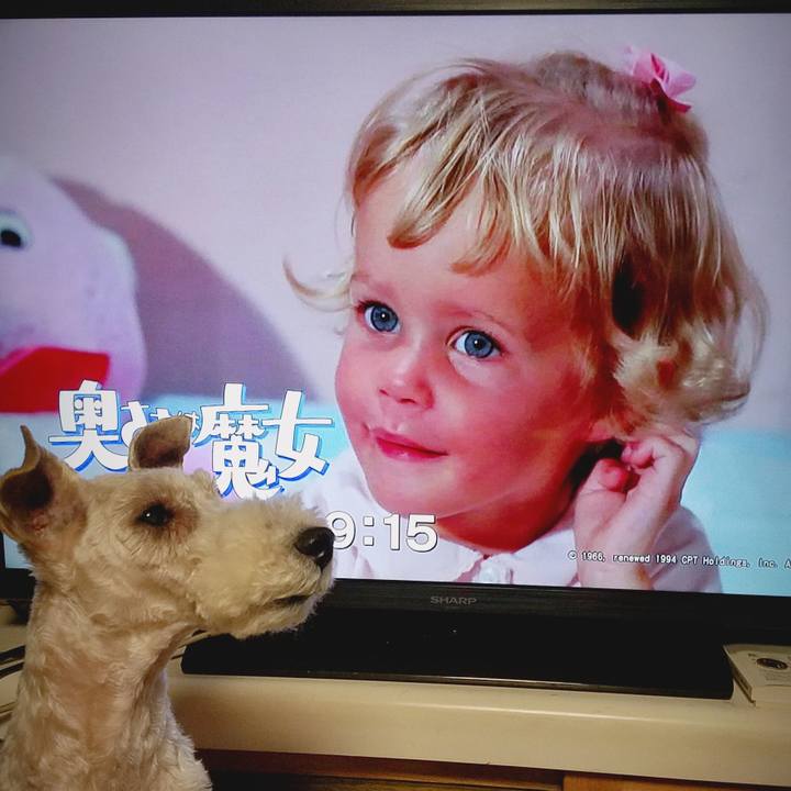 F44b7cca ead5 445a b4ad 3da3771034fd 1552479101195