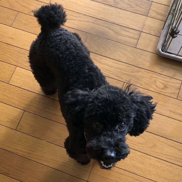 F44ba34c d780 4e51 bf3d 5f6994ae4428 1547677791149