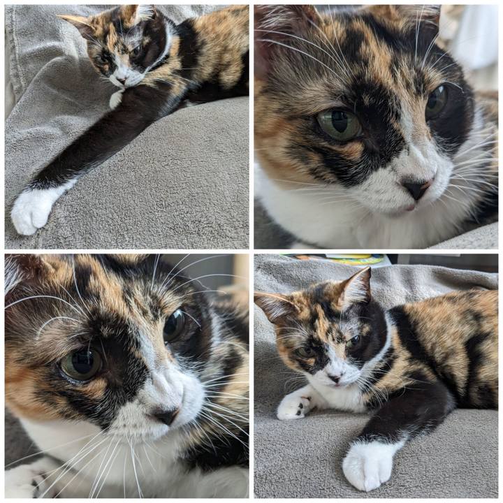 F44bb0f5 7ced 44b5 9be4 74c647d47965 1683271792546