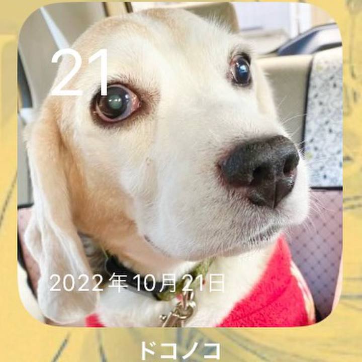 F44bc58b ae1f 4352 88b3 c0f2841ec2f9 1697878009416