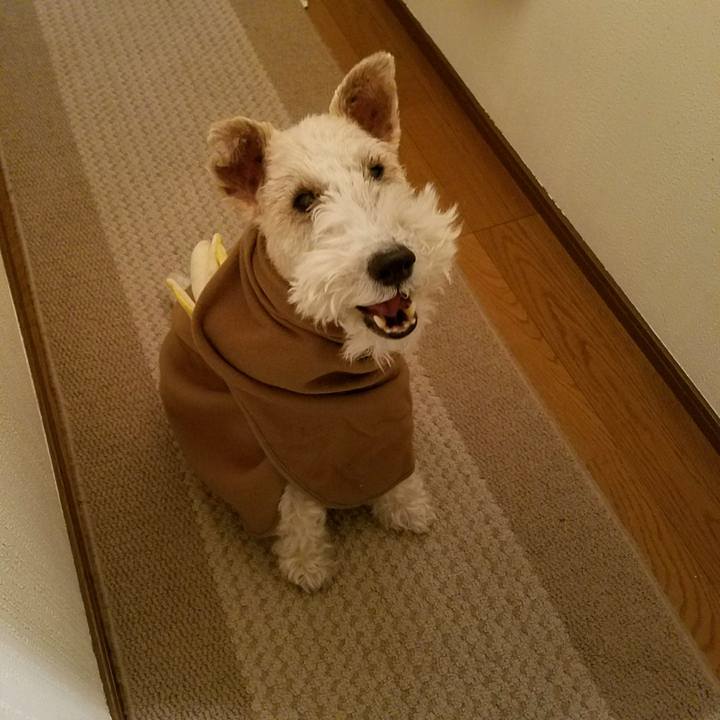 F44c042b 003e 4d72 8c9b d97871b80fe6 1520943594714