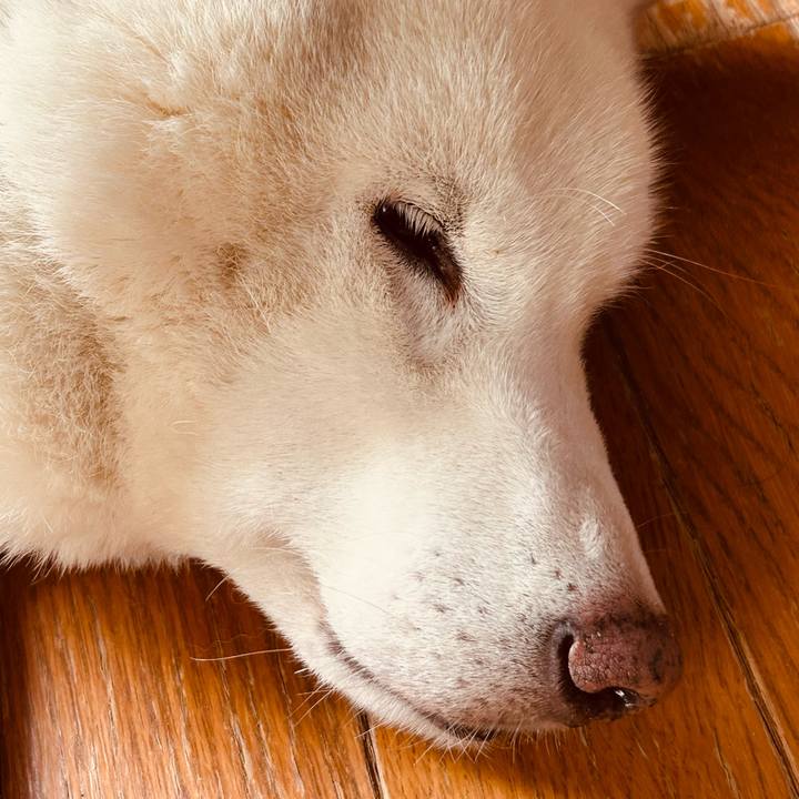 F44c0733 72c9 4541 9cd6 568c10e47723 1770341330427