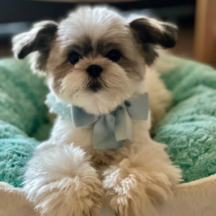 F44c3749 0506 4032 8ab1 2bb85ceaa79a 1658711126822