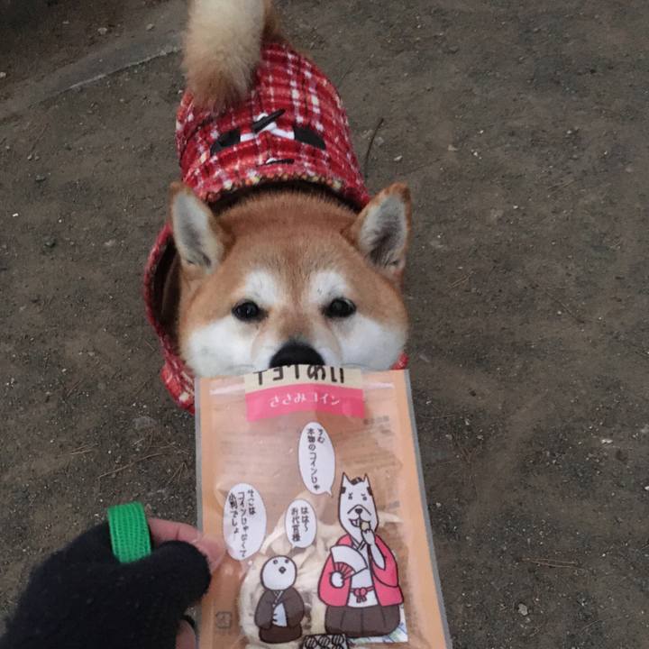 F44c4325 e624 4681 a77d a6ad10127ded 1608106300942