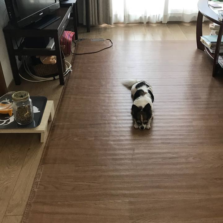 F44c75ca 7aa8 4b24 8370 33ab536a3fc7 1535162454631