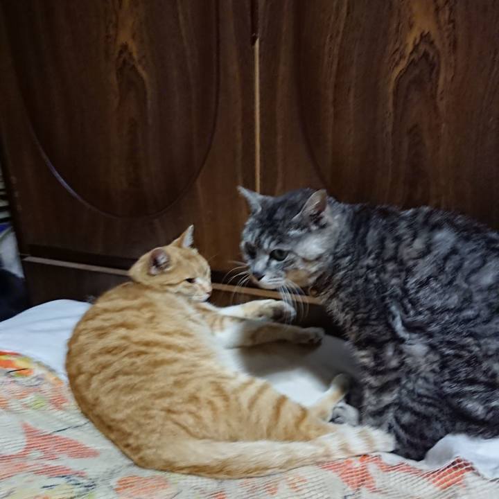 F44c76c1 318e 4083 bedc 0553c9b926c0 1588420559944