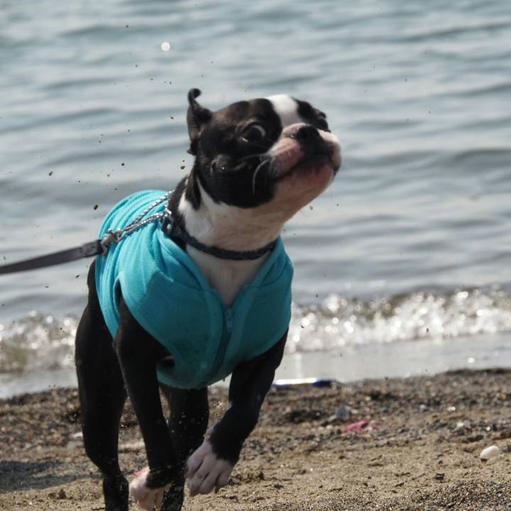 F44c926c 9682 4a45 8425 ea09c96f5c24 1524362742513