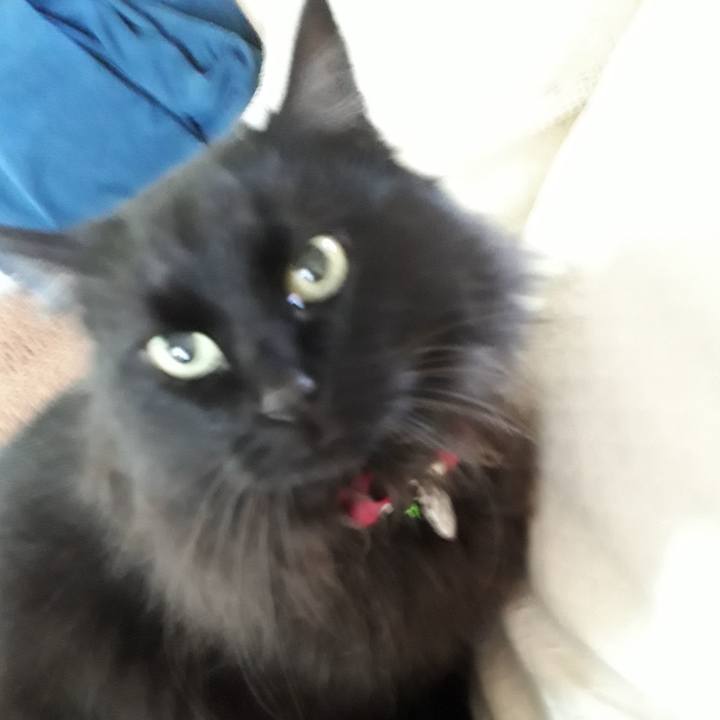 F44c9e41 120b 4c7e a3f0 a8c816f131f2 1523915725486