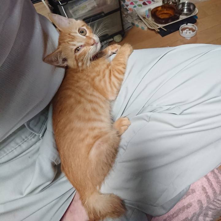 F44c9e8c 05a6 4004 b61a c2473f080ed5 1630231629246