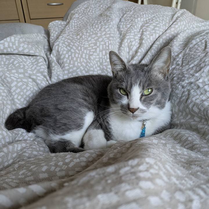 F44cca27 bce2 4352 9932 8db2801eda21 1763257059255