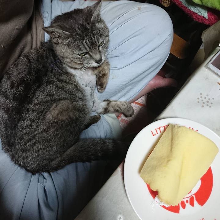 F44cd127 a765 4ae9 9138 87d404b5d327 1588745756890