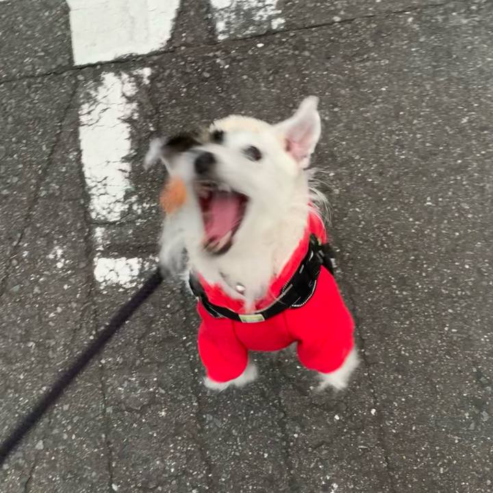 F44cd381 43b2 44de 87c9 301efbe53e4a 1669966682102