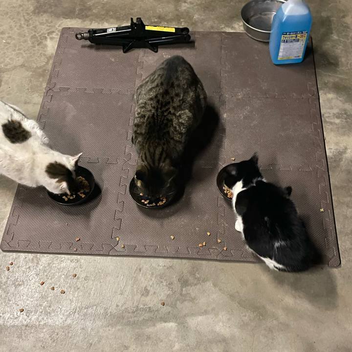 F44d070a 8e76 45dc b12b 577c046f8fd5 1674711373228