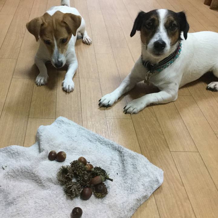 F44d0cca fc0d 4397 b571 e73913c8b2a1 1507937165719