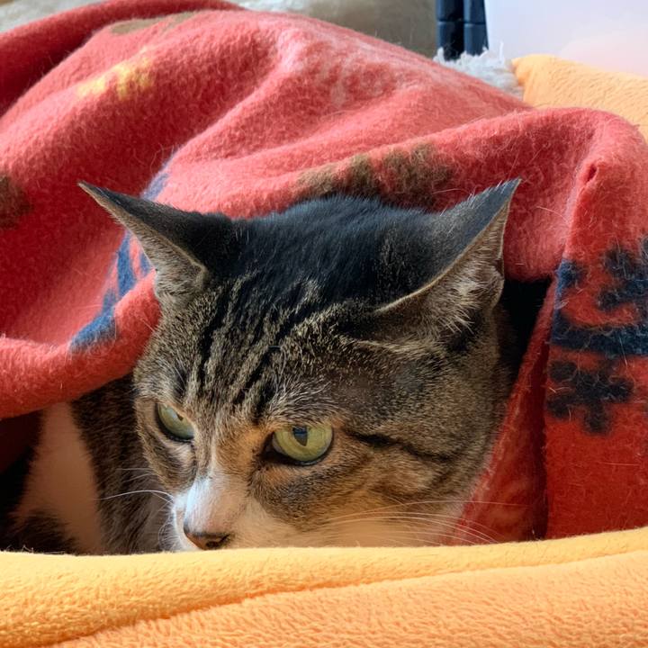 F44d1bb3 d01e 4d82 a891 d4293aa357dd 1601687755274